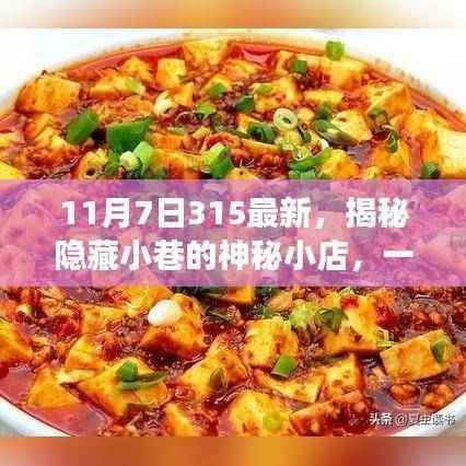 探寻神秘小巷美食，揭秘特色小店奇遇记——最新美食之旅（11月7日315版）