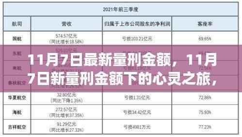 11月7日新量刑金额下的心灵与自然美景之旅,深度解读与体验
