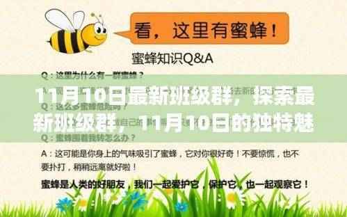 探索最新班级群,11月10日的独特魅力与机遇的集结号角