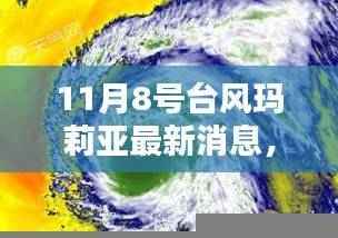 台风玛莉亚下的温馨日常，与友情共舞的日子（最新消息）