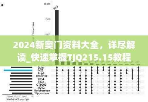 2024新奥门资料大全,详尽解读_快速掌握TJQ215.15教程