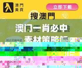 澳门一肖必中,素材策略解析_绿色OIX640.05版