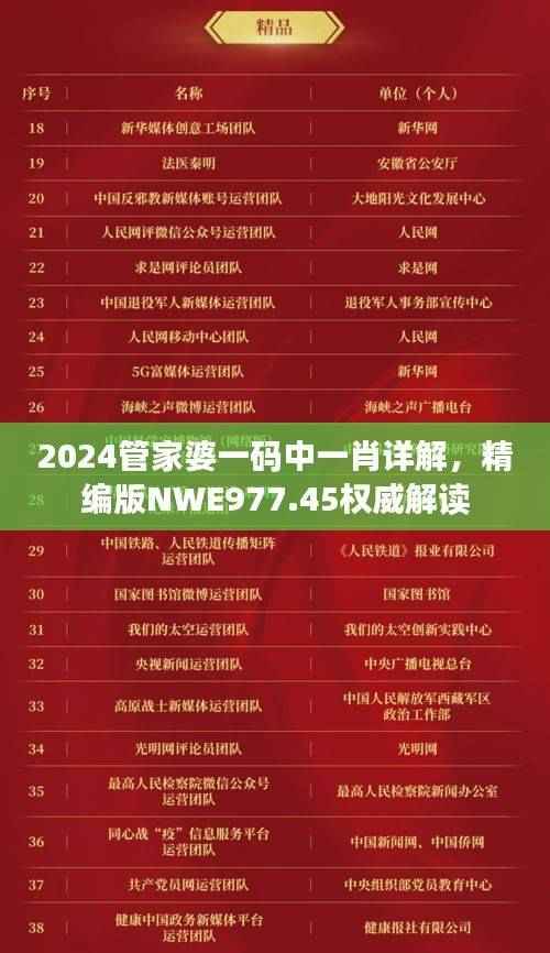 2024管家婆一码中一肖详解,精编版NWE977.45权威解读