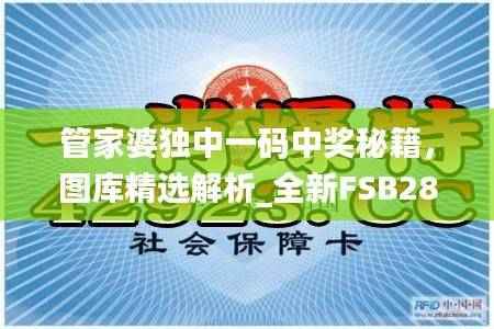 管家婆独中一码中奖秘籍,图库精选解析_全新FSB282.71版