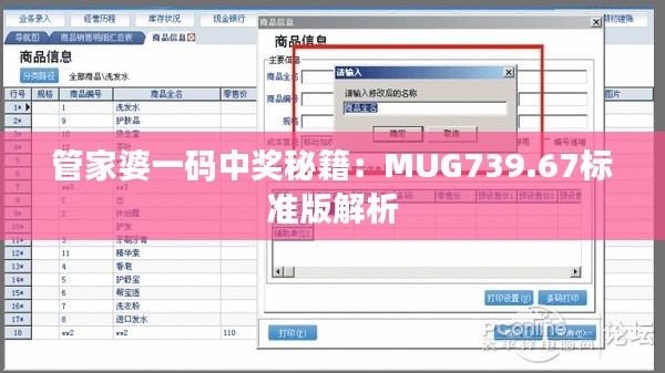 管家婆一码中奖秘籍:MUG739.67标准版解析