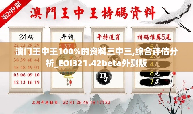 澳门王中王100%的资料三中三,综合评估分析_EOI321.42beta外测版