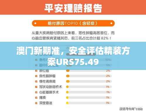 澳门新期准,安全评估精装方案URS75.49
