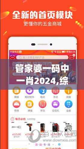 管家婆一码中一肖2024,综合判断解析解答_本地版NIC888.7