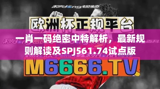 一肖一码绝密中特解析,最新规则解读及SPJ561.74试点版
