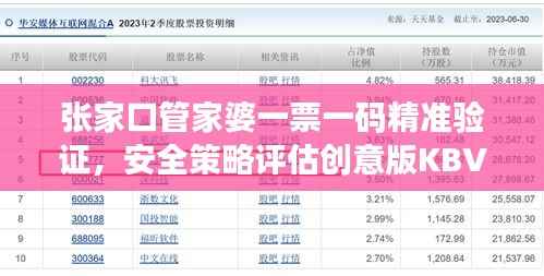 张家口管家婆一票一码精准验证,安全策略评估创意版KBV789.23