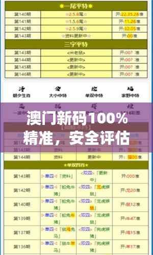 澳门新码100%精准,安全评估策略LHG682.16优先版