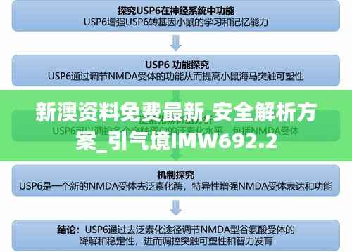 新澳资料免费最新,安全解析方案_引气境IMW692.2