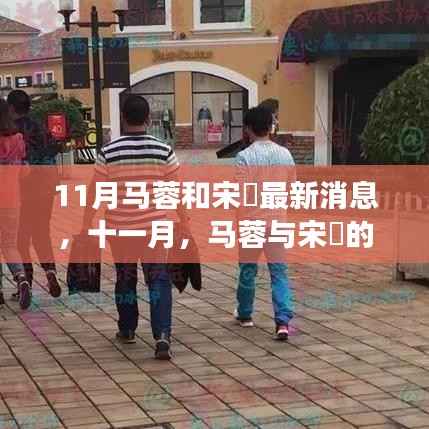 11月马蓉与宋喆最新动态,心灵之旅中的自然美景探索之旅
