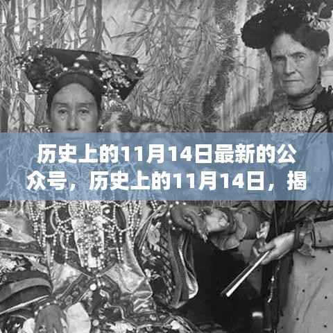 揭秘历史上的重大事件背后的故事,历史上的11月14日最新公众号文章揭秘揭秘揭秘!