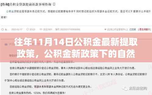 公积金新政下的自然之旅,带上心灵出发,体验最新提取政策的日子(11月14日)