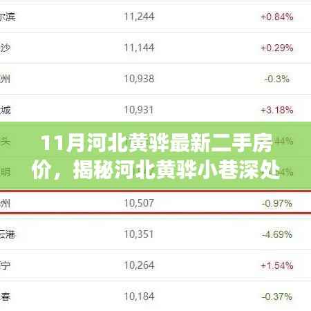 河北黄骅11月最新二手房价揭秘,特色小店与房价背后的故事