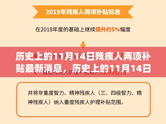 历史上的11月14日,残疾人两项补贴的最新进展及其深远影响
