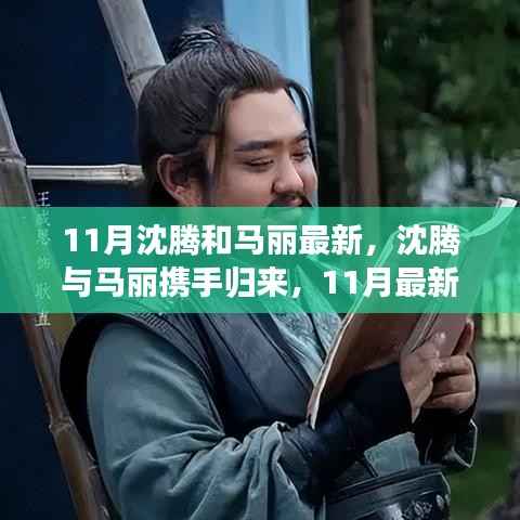 沈腾与马丽11月最新作品,深度解析与体验评测重磅来袭!