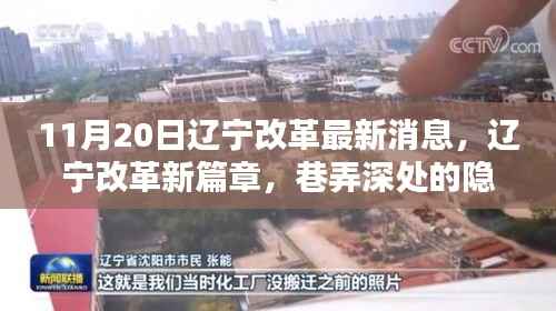 辽宁改革新篇章,巷弄深处的隐藏瑰宝揭秘,11月20日的惊喜更新