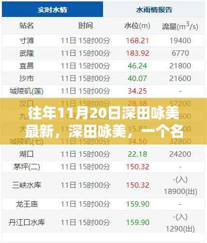 深田咏美，11月20日的闪耀之星