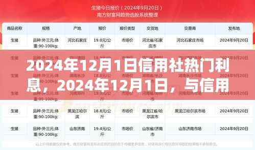 2024年12月1日信用社利息热点解析，探寻自然之美与内心宁静的旅程