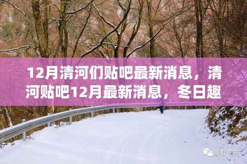清河贴吧最新消息揭秘,冬日趣事与友情篝火