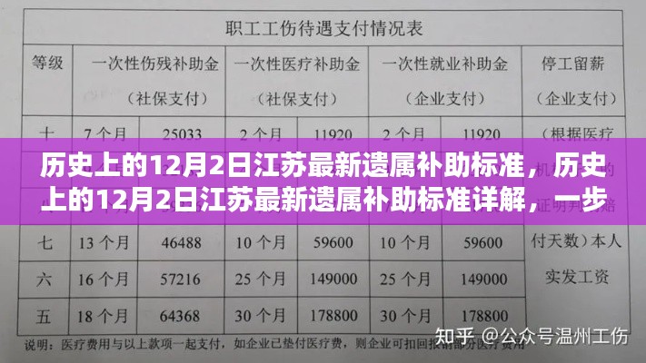 江苏最新遗属补助标准详解及申请流程指南，聚焦历史上的12月2日更新内容