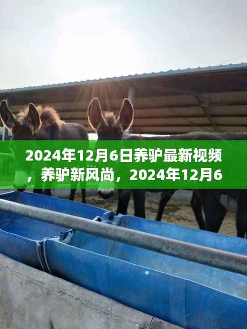 2024年养驴新风尚观察,最新视频揭示驴产业观点