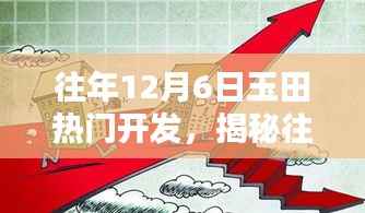 揭秘往年12月6日玉田热门开发深度解析三大要点助力成功开发之路