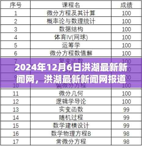 洪湖动态展望与未来发展报道(洪湖最新新闻网,2024年12月6日版)