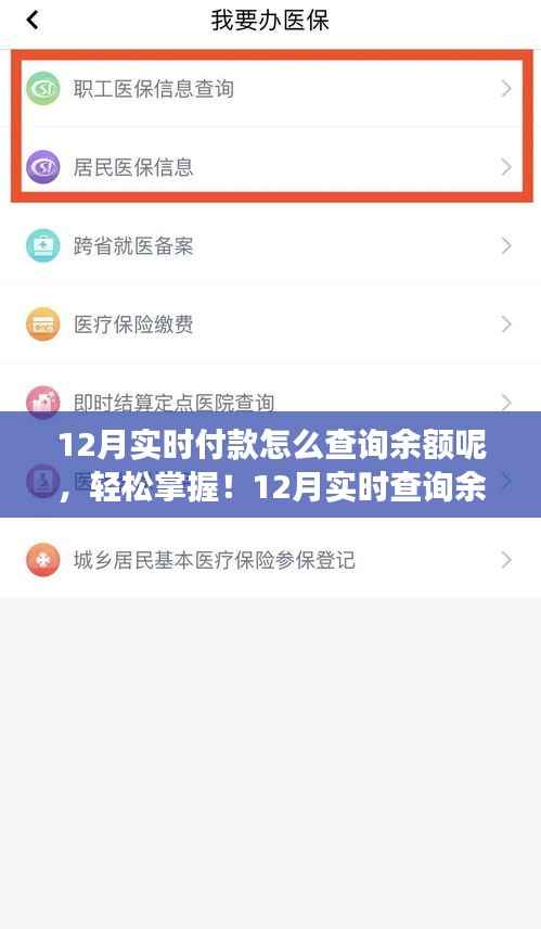 掌握正确姿势,12月实时查询余额的付款与余额查询指南