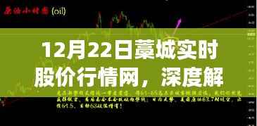 深度解析,藁城实时股价行情网