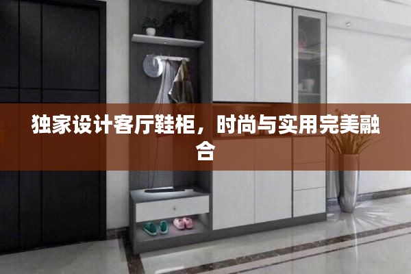 独家设计客厅鞋柜,时尚与实用完美融合