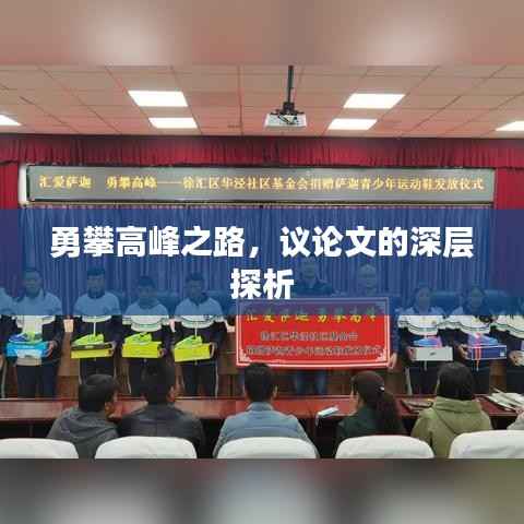勇攀高峰之路,议论文的深层探析