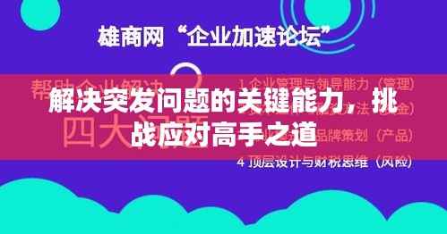解决突发问题的关键能力，挑战应对高手之道