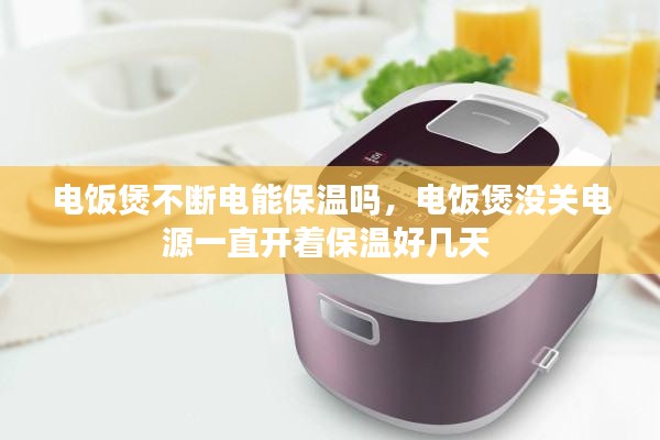 电饭煲不断电能保温吗，电饭煲没关电源一直开着保温好几天 
