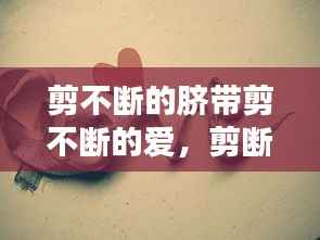 剪不断的脐带剪不断的爱，剪断的脐带甩开的手是什么歌 