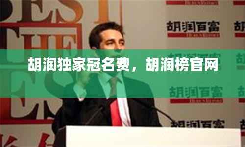 胡润独家冠名费,胡润榜官网