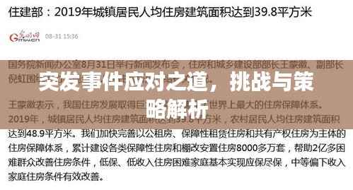 突发事件应对之道,挑战与策略解析
