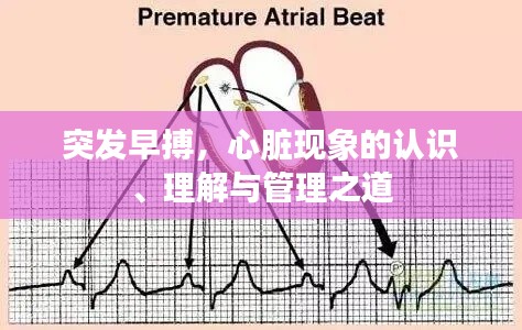 突发早搏,心脏现象的认识、理解与管理之道