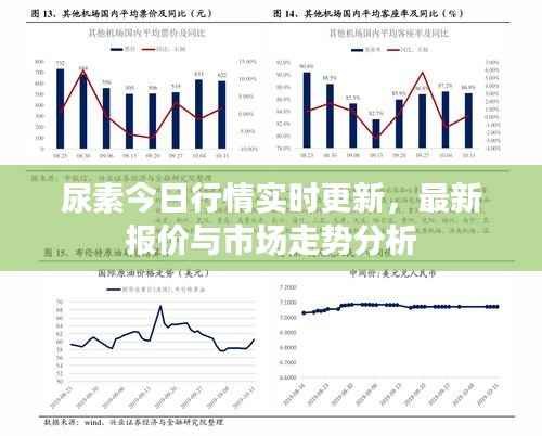 尿素今日行情实时更新,最新报价与市场走势分析