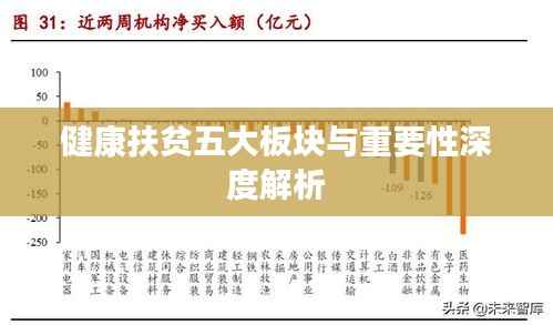 健康扶贫五大板块与重要性深度解析