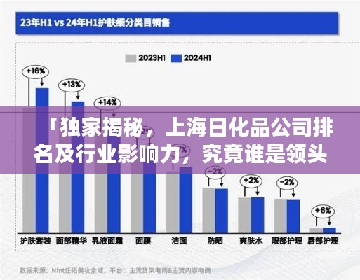 「独家揭秘,上海日化品公司排名及行业影响力,究竟谁是领头羊?」