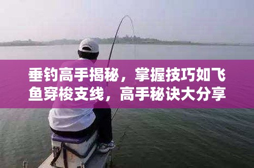 垂钓高手揭秘,掌握技巧如飞鱼穿梭支线,高手秘诀大分享!
