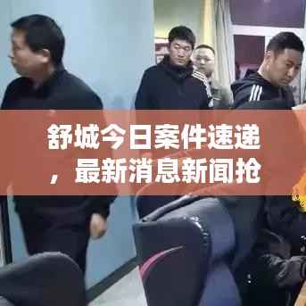 舒城今日案件速递,最新消息新闻抢先看