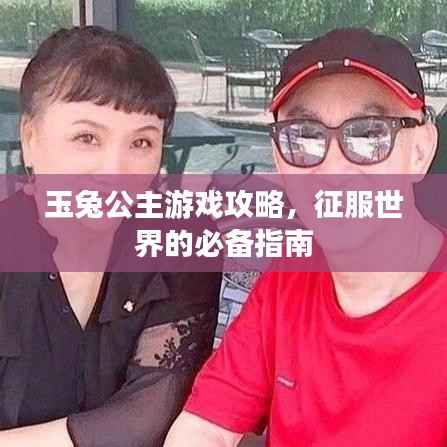 玉兔公主游戏攻略,征服世界的必备指南