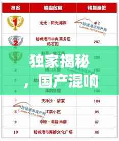 独家揭秘,国产混响器市场排名前十榜单!