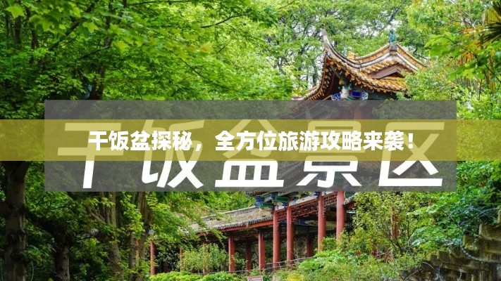 干饭盆探秘,全方位旅游攻略来袭!