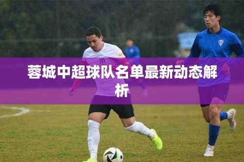 蓉城中超球队名单最新动态解析