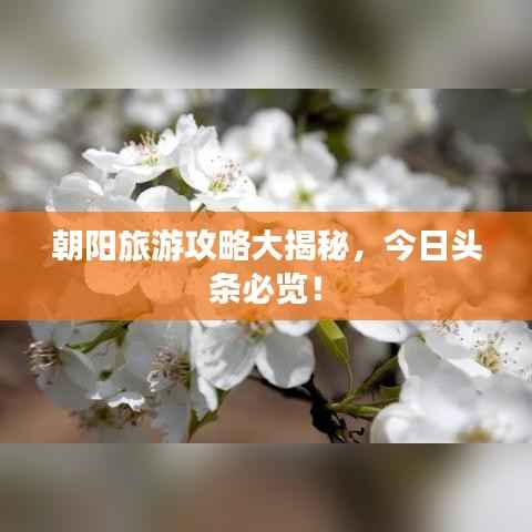 朝阳旅游攻略大揭秘,今日头条必览!